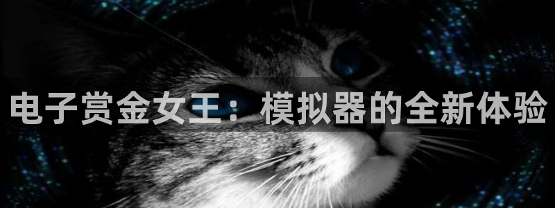 电子赏金女王：模拟器的全新体验