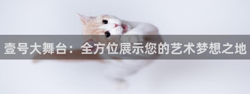 壹号大舞台：全方位展示您的艺术梦想之地